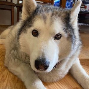 Meet your Posher, Rosita